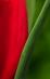תמונה של משלימים | תמונות