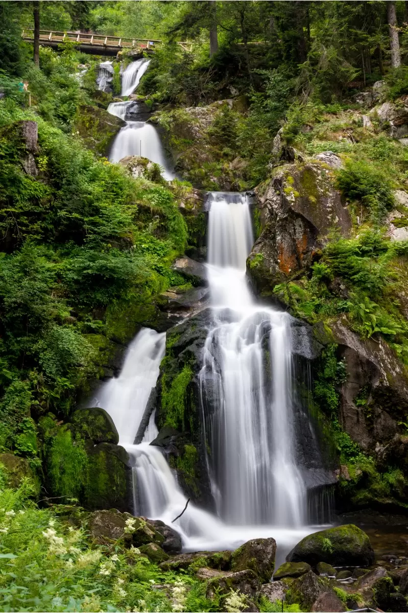 Triberg waterfalls - ניקולאי טטרצ'וק - תמונות לחדר רחצה ספא  - מק''ט: 288352