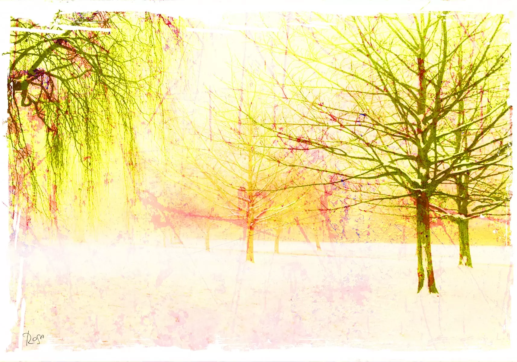 יער צהוב - רוזה לשצ'ינסקי - תמונות לסלון רגוע ונעים אבסטרקט פרחוני ובוטני תמונות בחלקים  - מק''ט: 283005