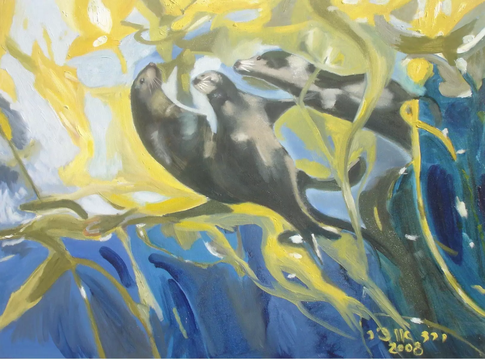 כלבי ים - ורד אופיר -  - מק''ט: 70472
