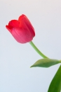 ������ 2
