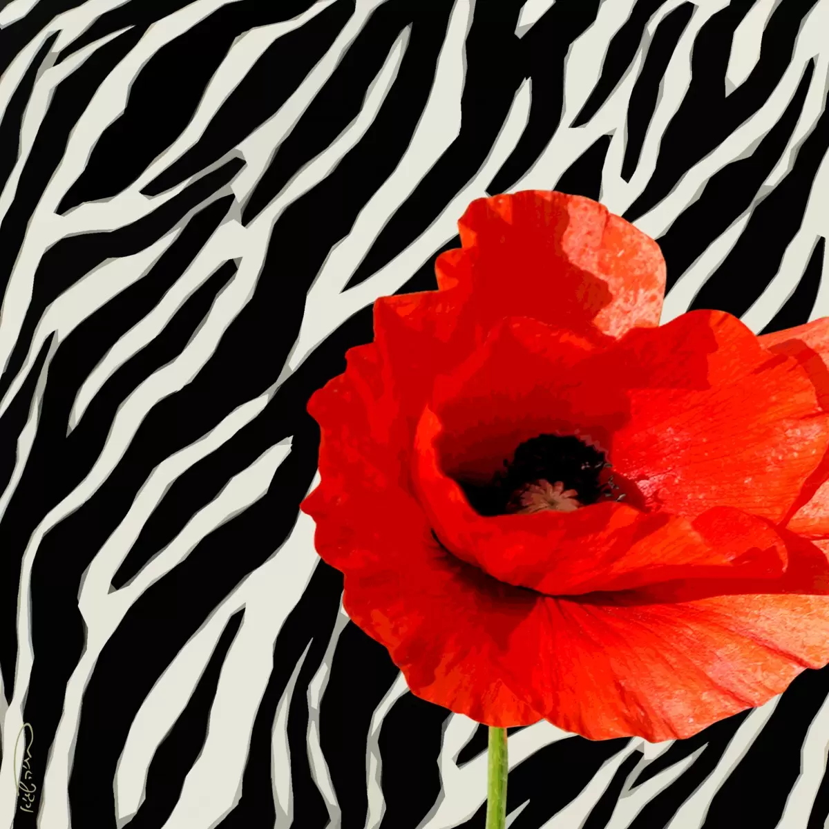 אדום-שחור-לבן - בתיה שגיא - תמונות רומנטיות לחדר שינה אבסטרקט פרחוני ובוטני סטים בסגנון מודרני  - מק''ט: 70616