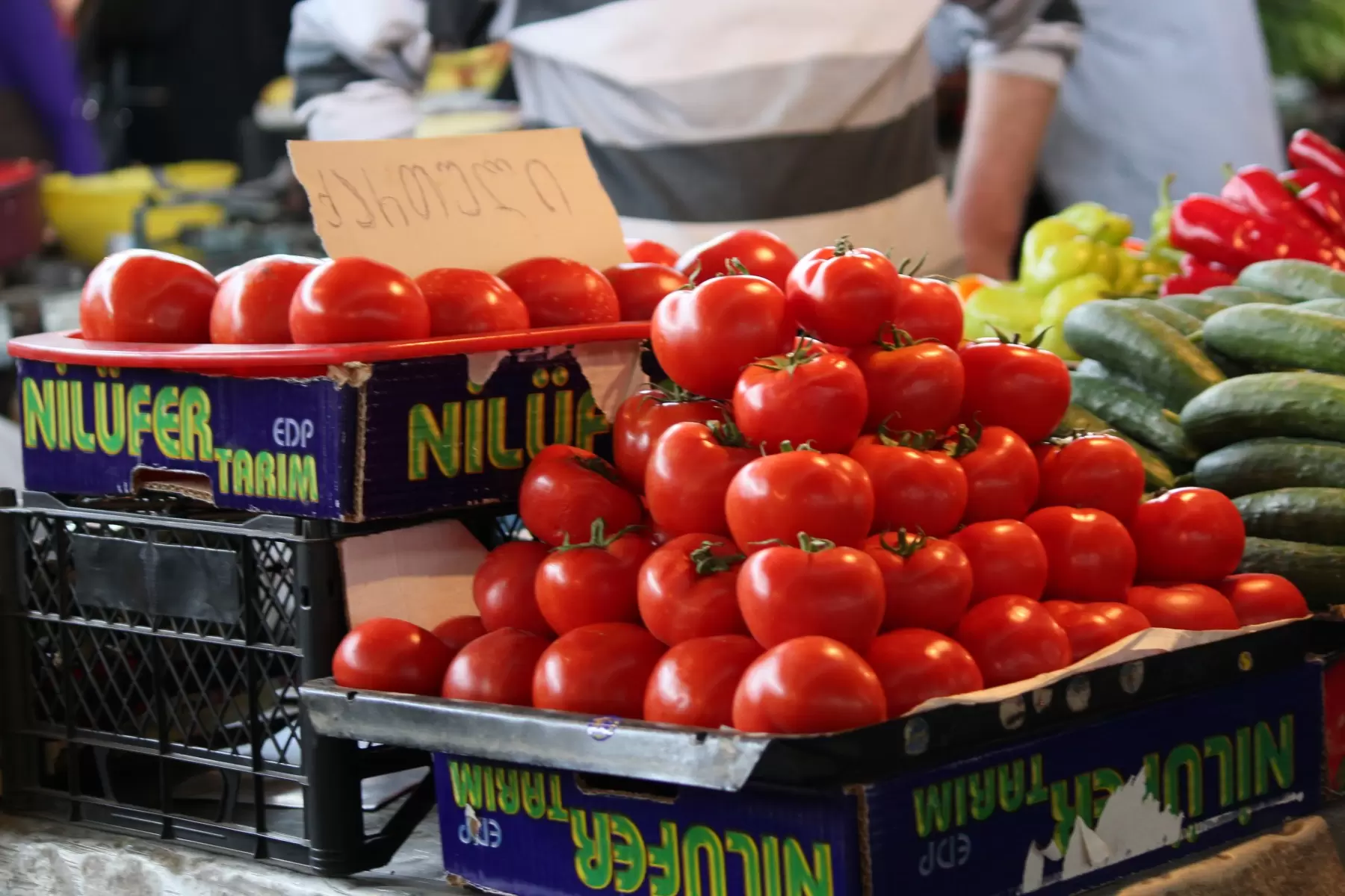 עגבניות בשוק - דן ששתיאל -  - מק''ט: 111179