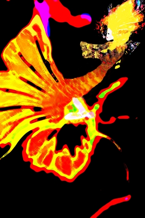 ������