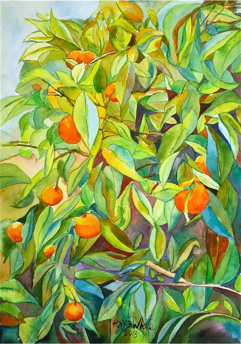 תפוזים בשמש - חיה וייט - צבעי מים  - מק''ט: 213197