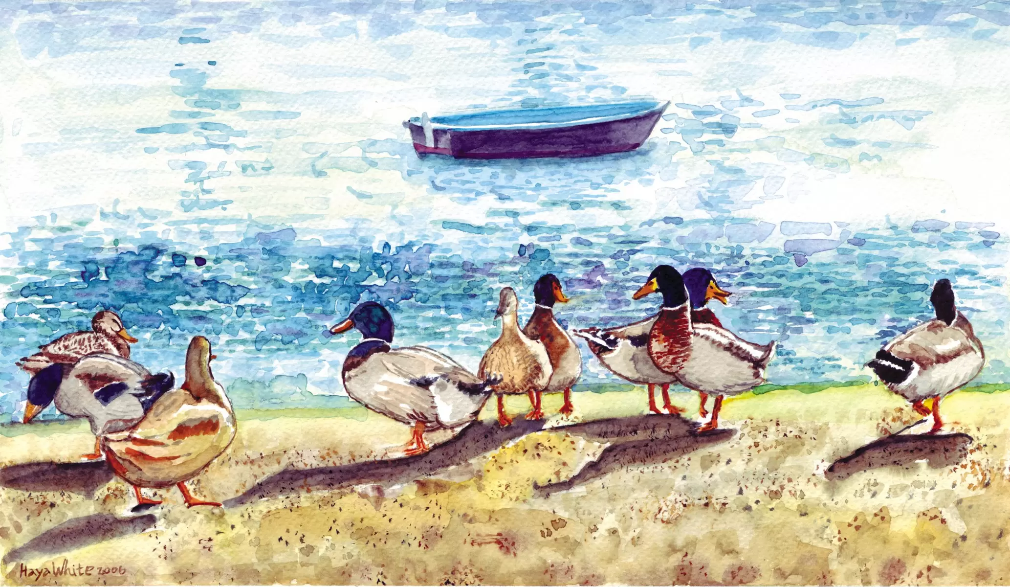 9 ברווזים - חיה וייט - תמונות ים ושמים לסלון צבעי מים  - מק''ט: 213278