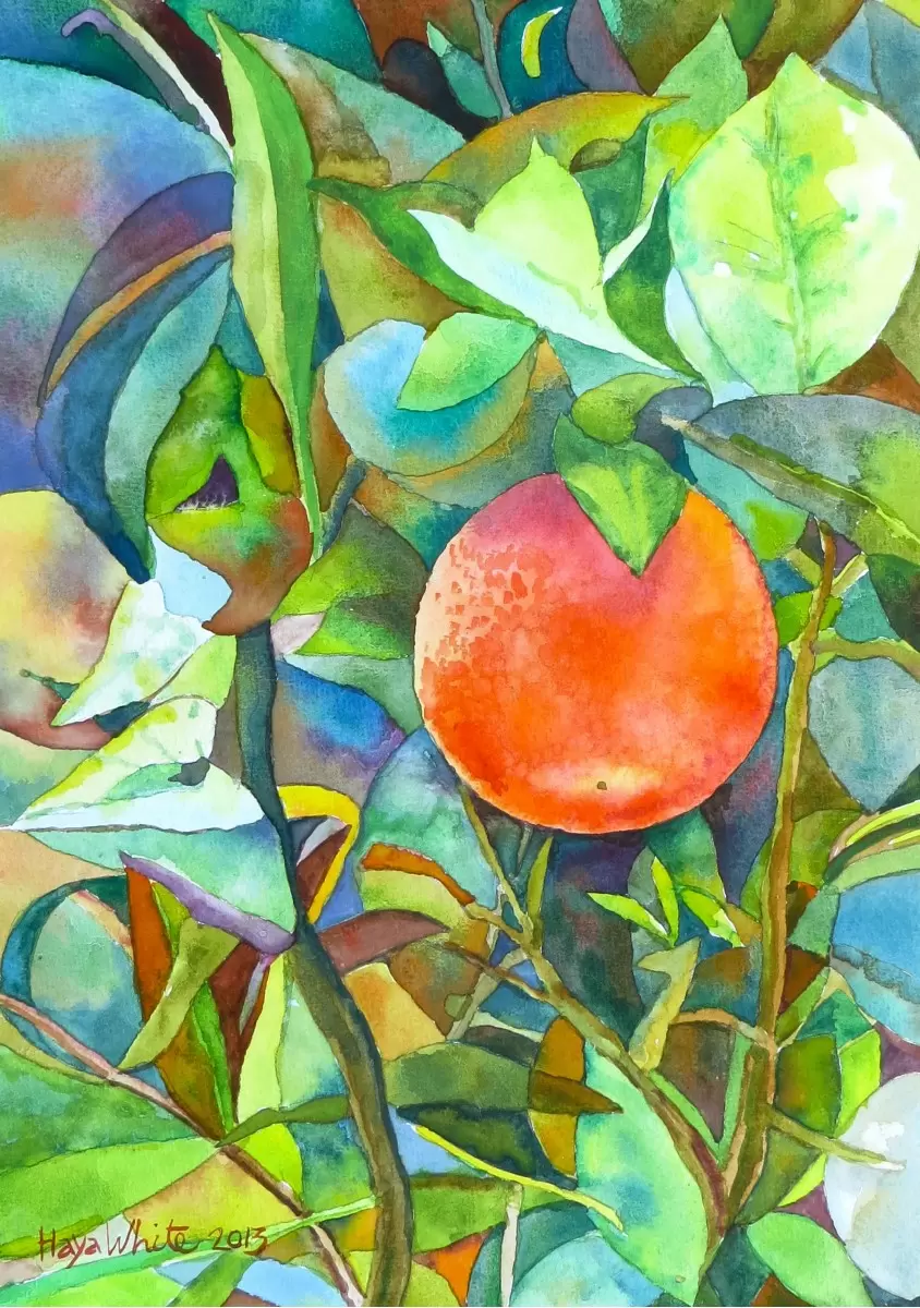 תפוז - חיה וייט - צבעי מים  - מק''ט: 229884