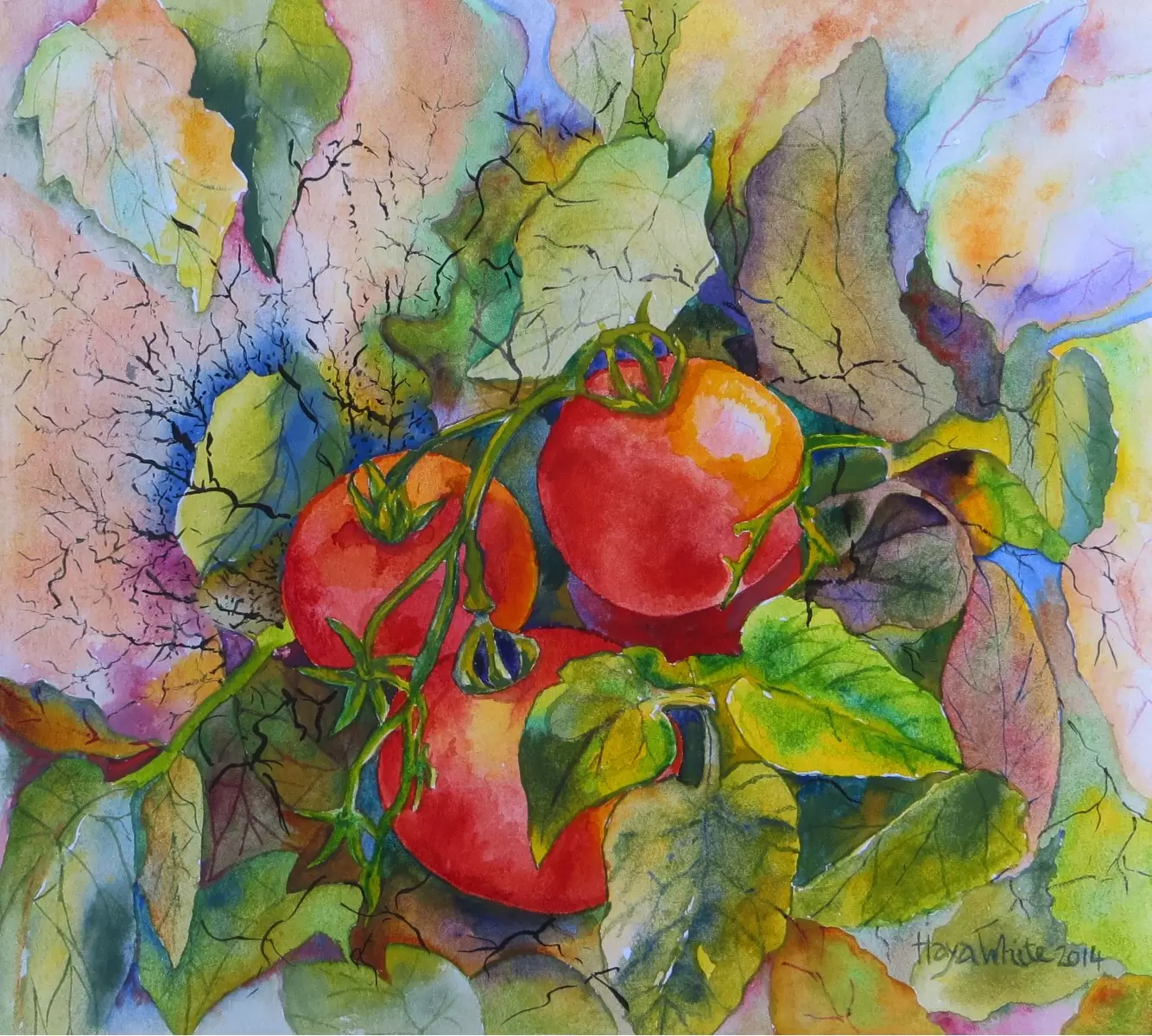 עגבניות בעטיפה - חיה וייט - צבעי מים  - מק''ט: 243418