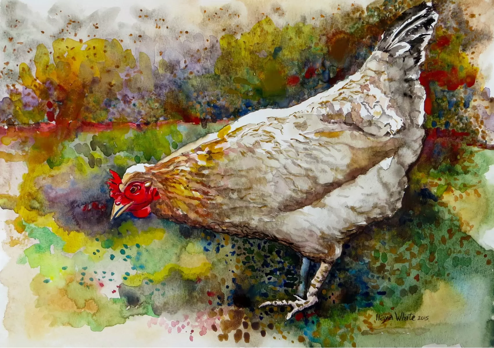 תרנגולת - חיה וייט - צבעי מים  - מק''ט: 259310
