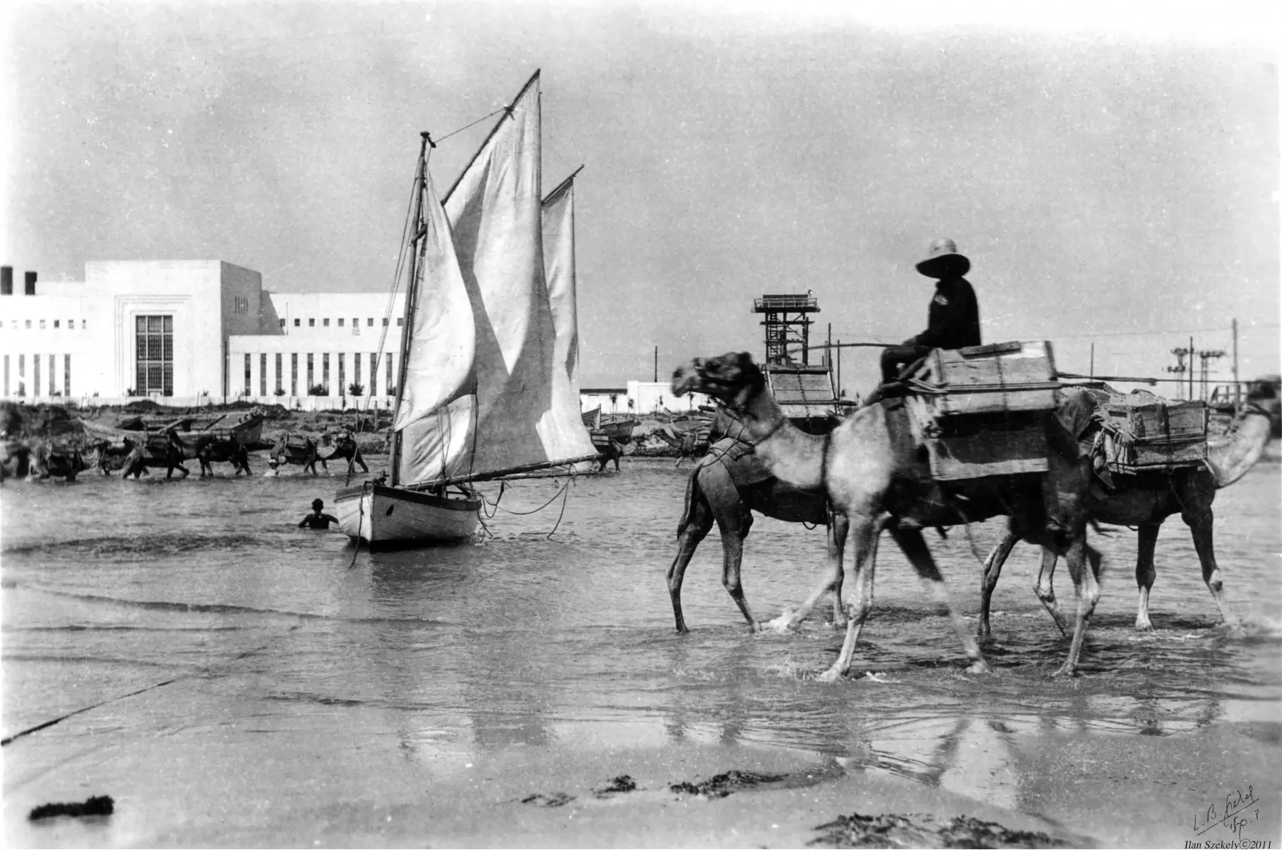 תל אביב 1939 - גמלים בחוף - דוד לסלו סקלי -  - מק''ט: 141893