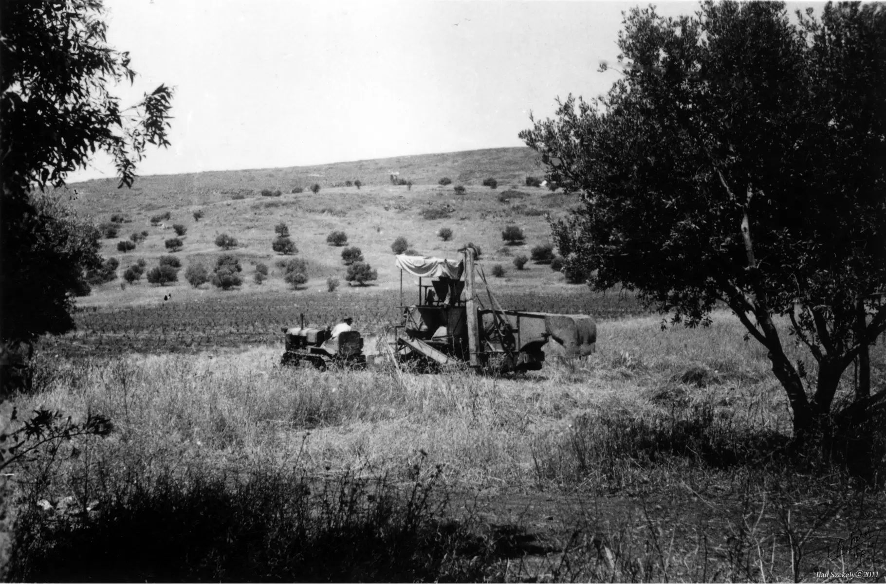 ביתניה 1945 - טרקטור בשדה - דוד לסלו סקלי -  - מק''ט: 142007