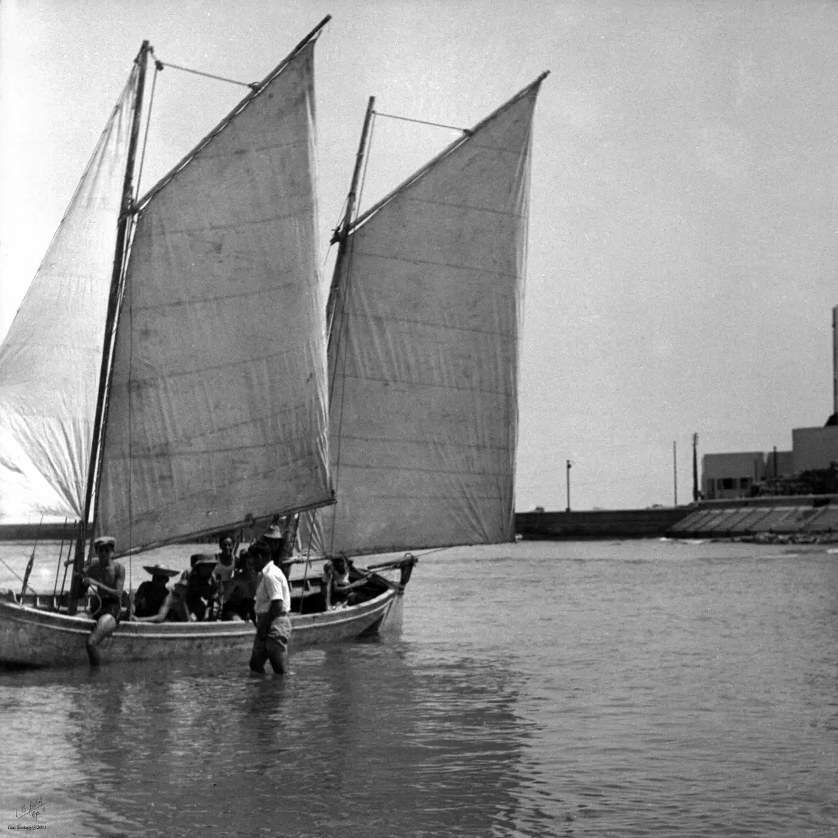 תל אביב 1939 סירת מפרשים - דוד לסלו סקלי -  - מק''ט: 143389