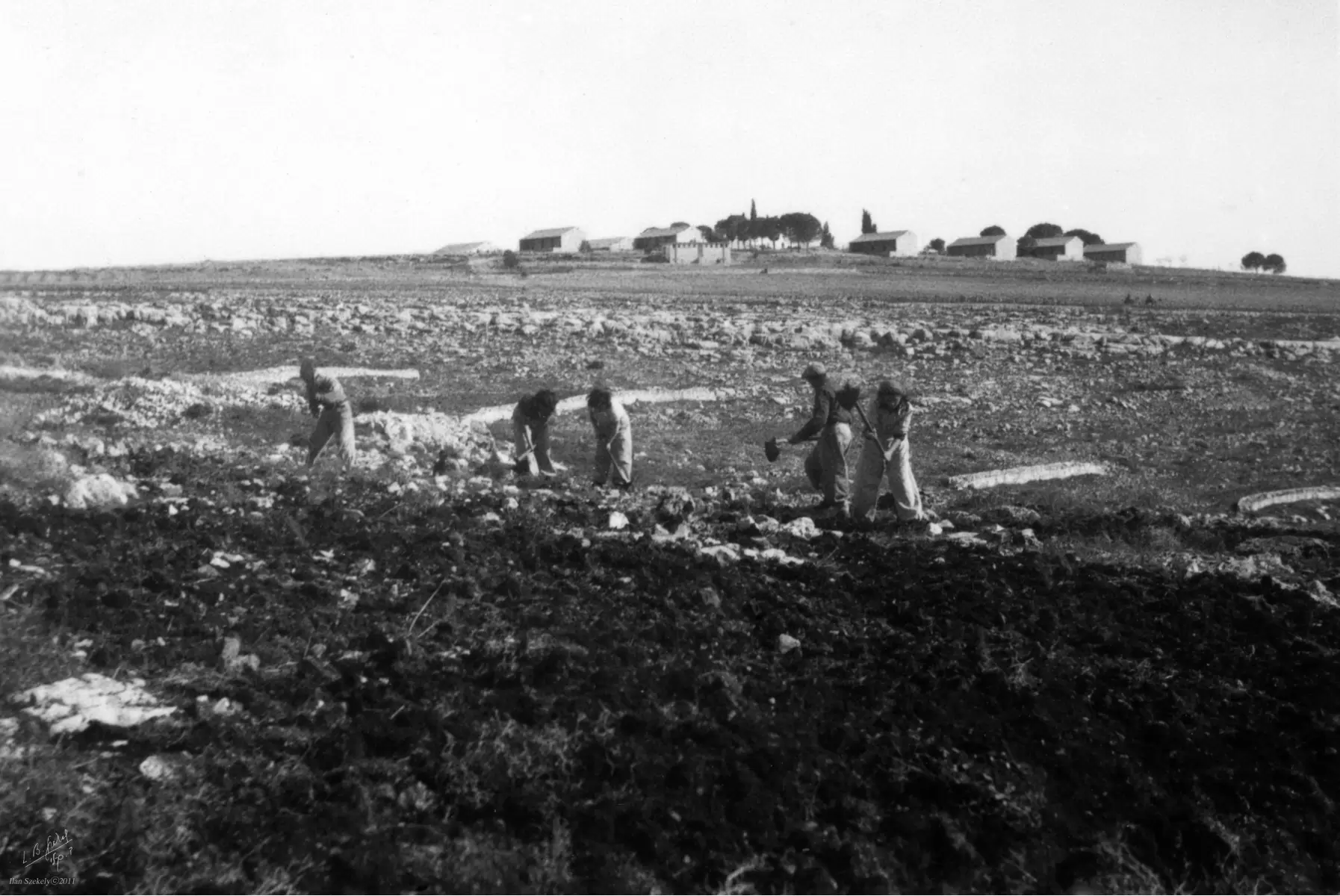 כפר עציון 1946 הכשרת קרקע - דוד לסלו סקלי -  - מק''ט: 144267