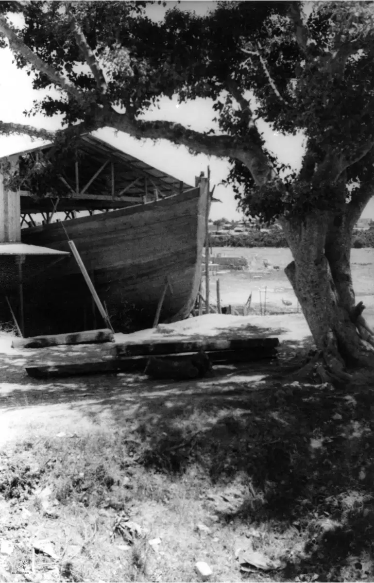 תל אביב 1937 סירה בצל עץ - דוד לסלו סקלי -  - מק''ט: 153042