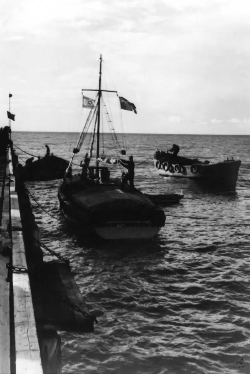 תל אביב 1937 סירות ודגל - דוד לסלו סקלי -  - מק''ט: 153319