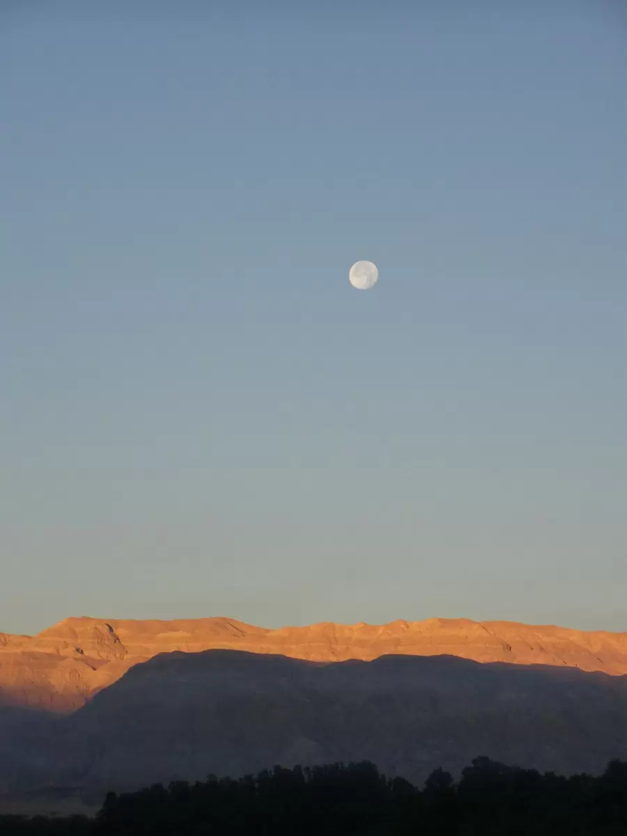 זריחה במדבר - משה יפה -  - מק''ט: 145633