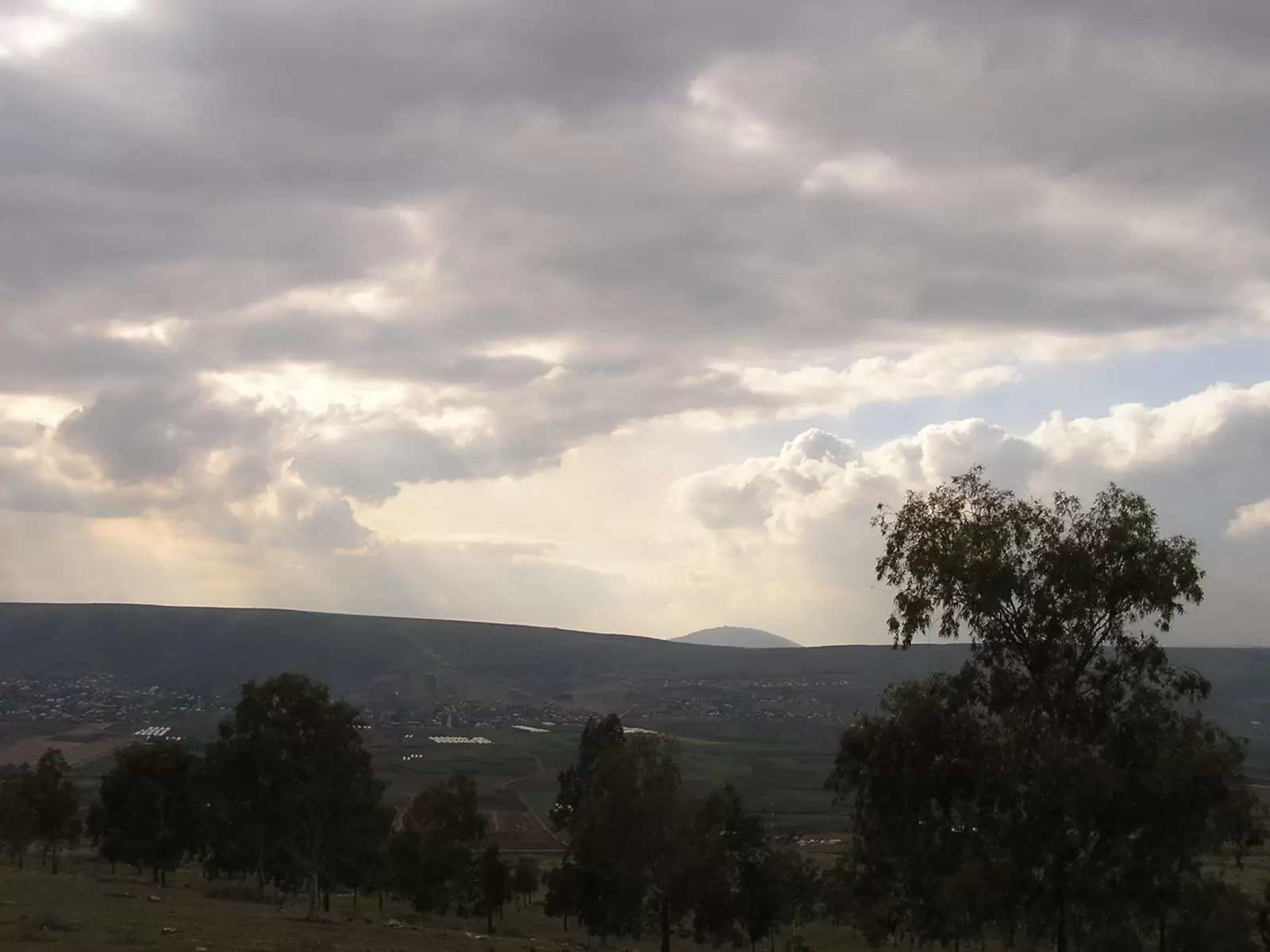 עמק יבניאל והר תבור - משה יפה -  - מק''ט: 8307