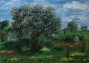 עץ זית