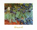 ������ ��� ��� - Van Gogh