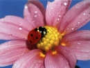Christophe Ratier