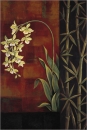 Jill Deveraux