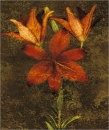 John Seba