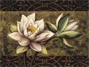 Diane Harper