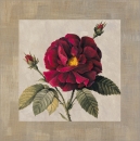 E.Lopez
