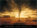 Peter Rauter