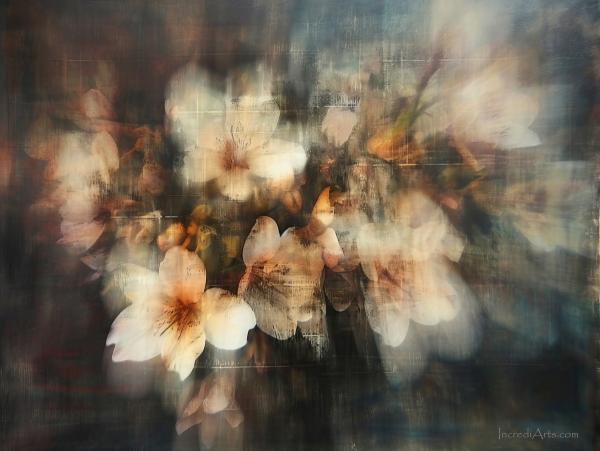 זר בלבן – יובל אמיר | תמונה לסלון בסגנון כפרי