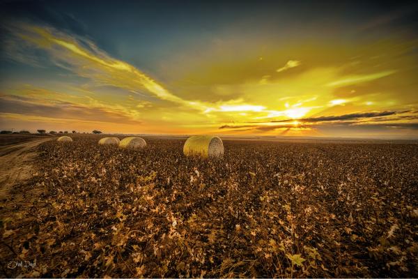 ללא שם – אוהד דאיה | תמונה לסלון בסגנון כפרי