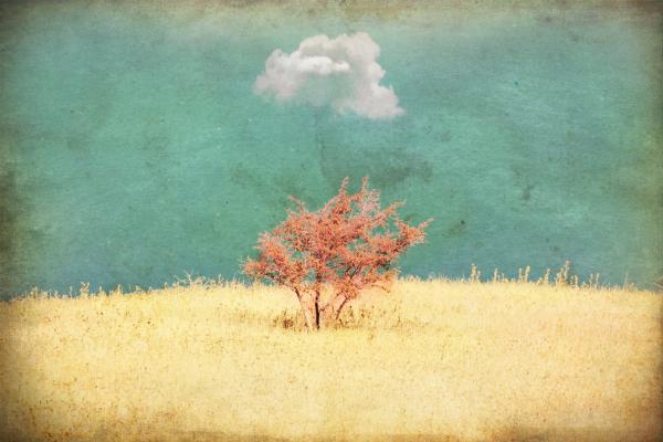 העץ הבודד והענן – משה (מוזס) בנסון | תמונה לסלון בסגנון כפרי