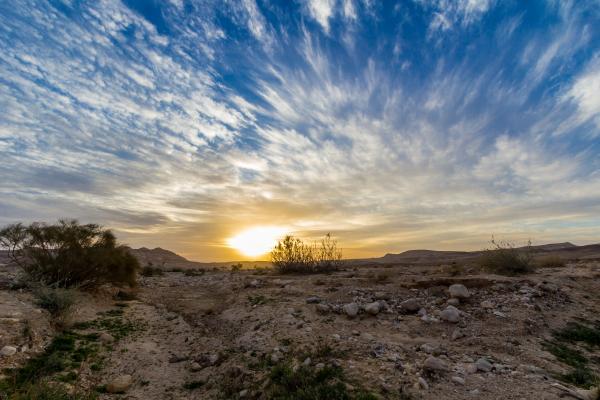 זריחה – ניקולאי טטרצ'וק | תמונה לסלון בסגנון מודרני