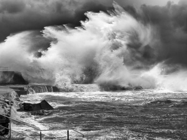 סופה בנמל – ארי בלטינשטר | תמונה לסלון בסגנון מודרני