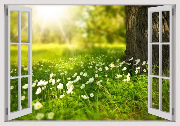 שדה חלומות מבעד חלון – Artpicked Windows | תמונה לסלון בסגנון כפרי