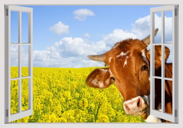 הפרה המציצה – Artpicked Windows | תמונה לסלון בסגנון מודרני