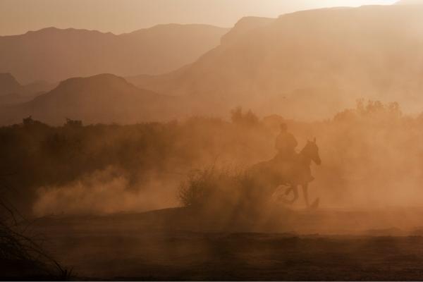 אבק פרסות – אייל ברטוב | תמונה לסלון בסגנון כפרי
