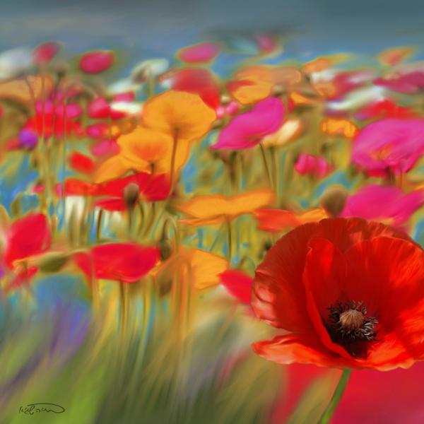 שדה כלניות – בתיה שגיא | תמונה לסלון בסגנון קלאסי