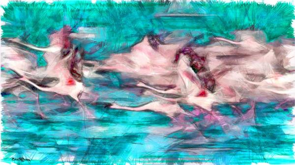 חסידות מעופפות – בן רוטמן | תמונה לסלון בסגנון מופשט