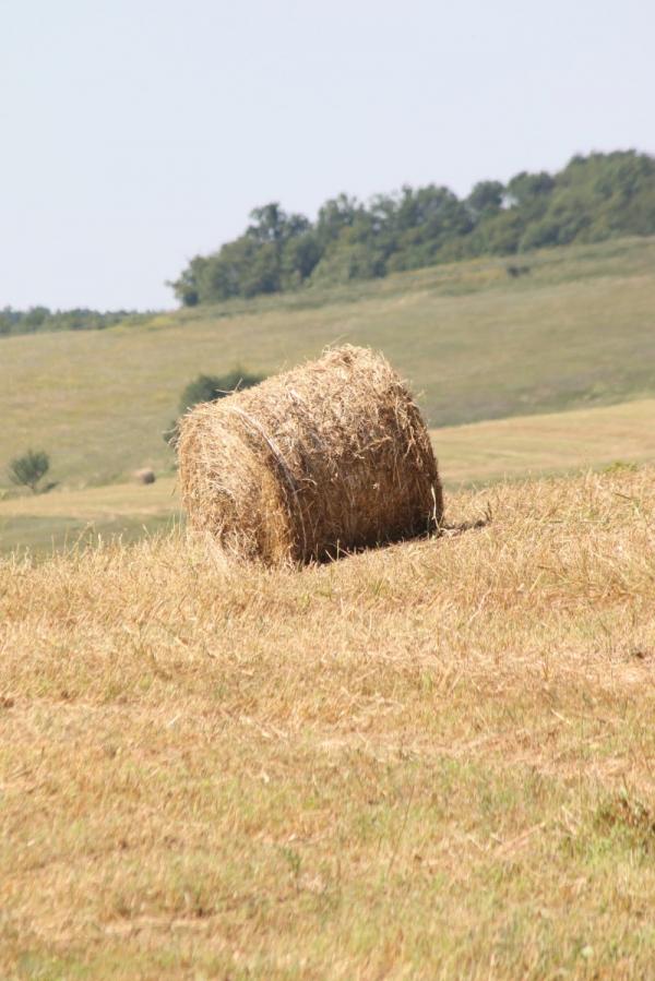 חבילת קש – דן ששתיאל | תמונה לסלון בסגנון כפרי