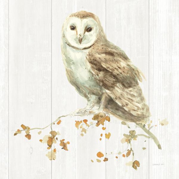 ינשוף על עץ – Danhui Nai | תמונה לסלון בסגנון כפרי