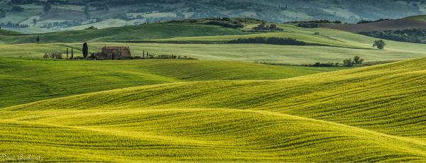 מרבדים ירוקים – דורית ברקוביץ | תמונה לסלון בסגנון כפרי