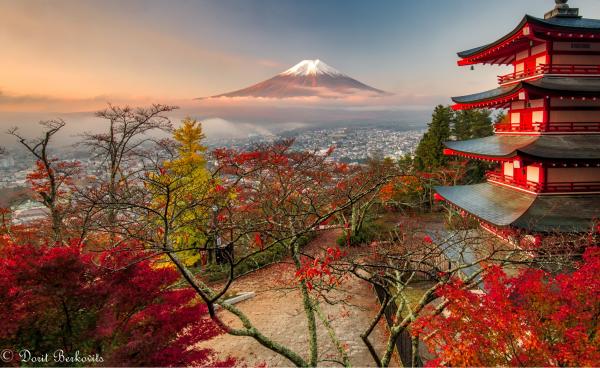 פגודה בשלכת – דורית ברקוביץ | תמונה לסלון בסגנון מודרני