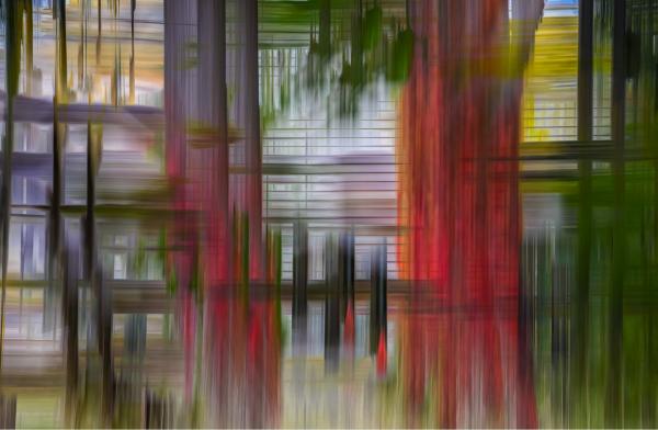 עצים באדום – דורית ברקוביץ לימיטד | תמונה לסלון בסגנון מופשט