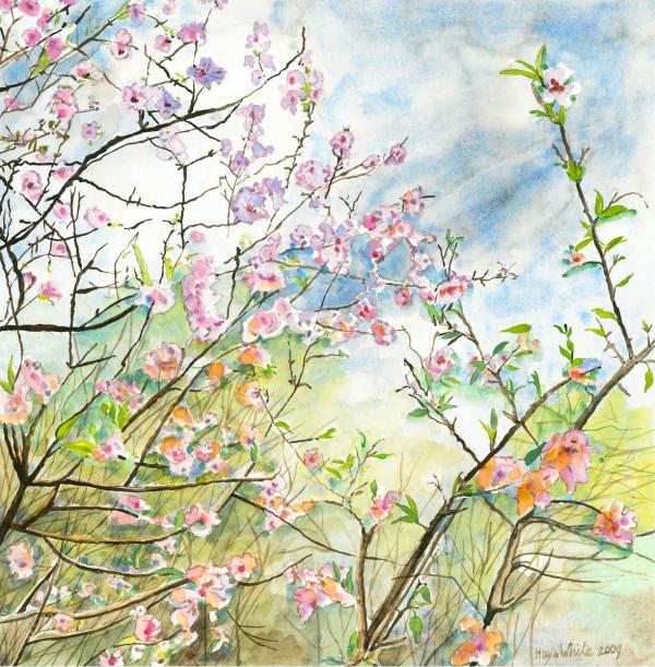 פריחת השקדייה – חיה וייט | תמונה לסלון בסגנון כפרי