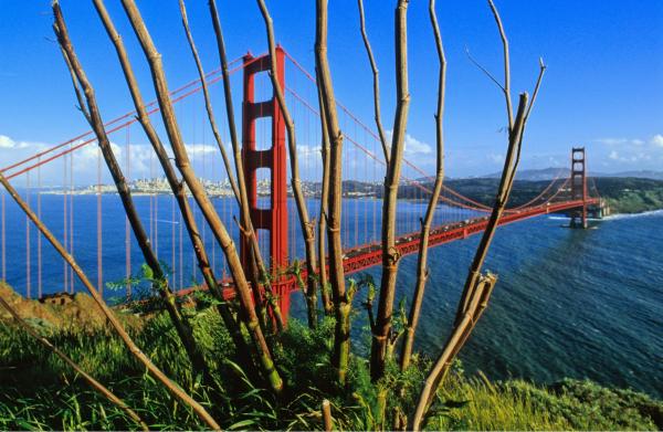 גשר הזהב 2 – עידן גיל | תמונה לסלון בסגנון מודרני