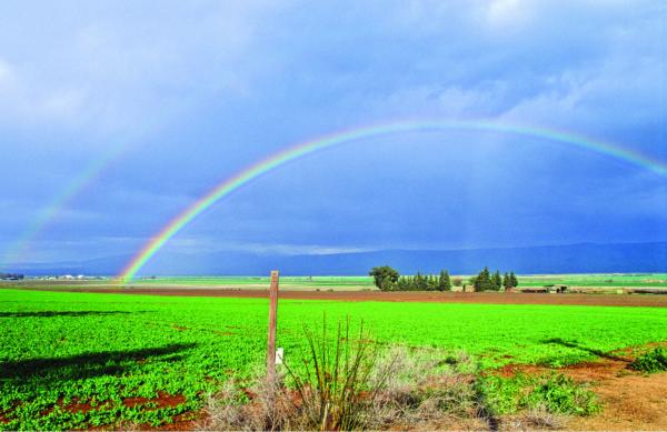 קשת בענן 4 – עידן גיל | תמונה לסלון בסגנון כפרי