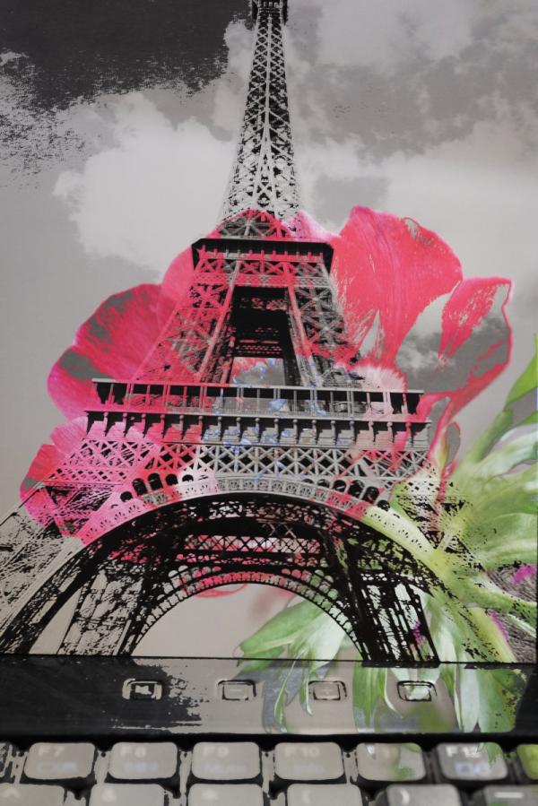 007 כלנית צרפתית  – אירית רוטרובין | תמונה לסלון בסגנון מודרני