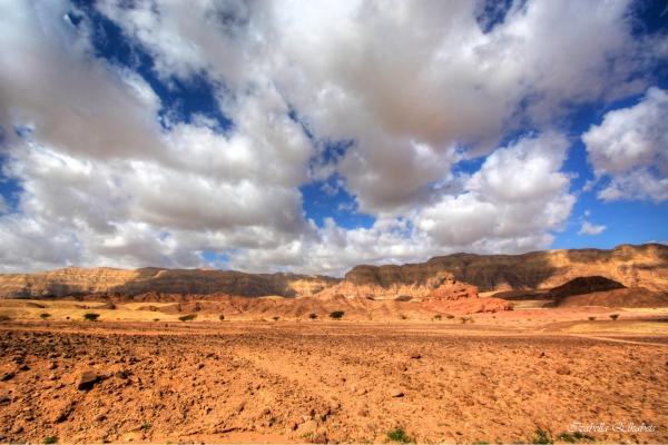 תמנע – איזבלה אלקבץ | תמונה לסלון בסגנון כפרי