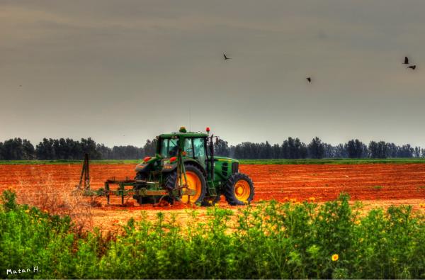 טרקטור וציפורים – מתן הירש | תמונה לסלון בסגנון כפרי